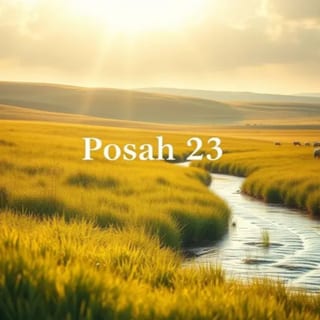 O Salmo 23 e o Cuidado de Deus em Nossa Vida