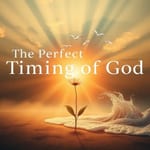 O Tempo de Deus é Perfeito: Esperança e Restauração
